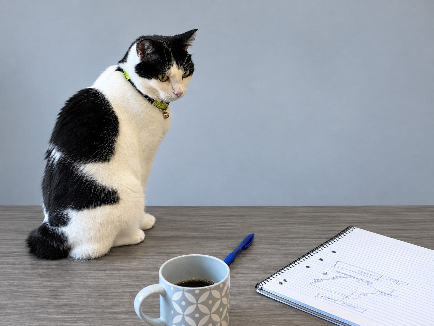 A cat watching a notebook and coffee on a desk, the setting these pieces get written in.